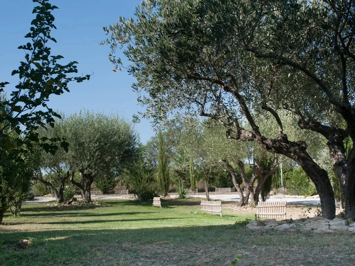 La Baraque de Sérignac : photo 5